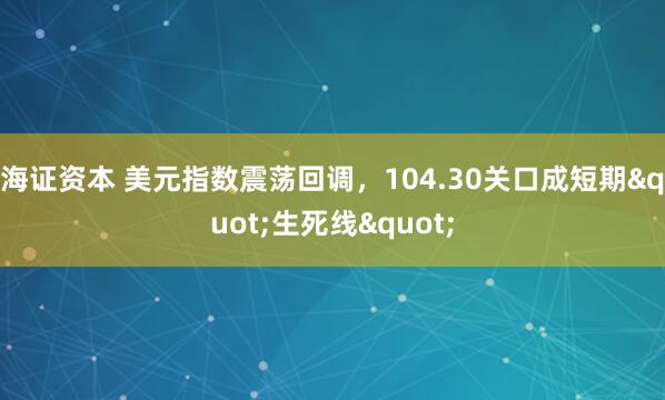 海证资本 美元指数震荡回调,104.30关口成短期"生死线"