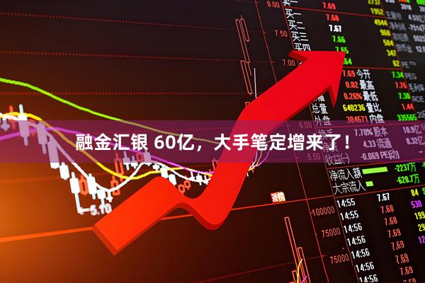 融金汇银 60亿,大手笔定增来了!