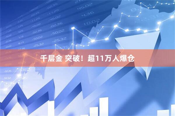 千层金 突破!超11万人爆仓