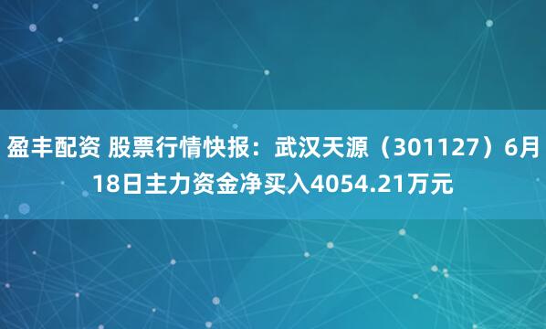 盈丰配资 股票行情快报:武汉天源(301127)6月18日主力资金净买入4054.21万元