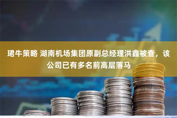 珺牛策略 湖南机场集团原副总经理洪鑫被查,该公司已有多名前高层落马