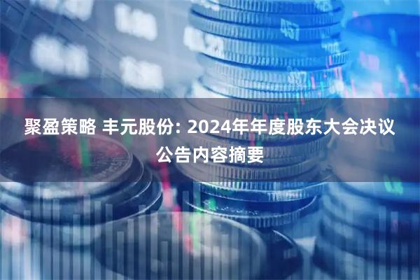 聚盈策略 丰元股份: 2024年年度股东大会决议公告内容摘要