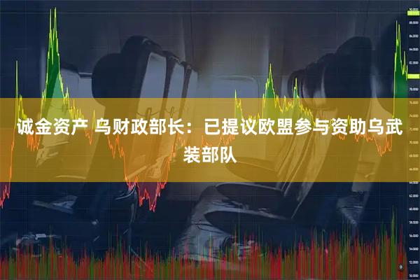 诚金资产 乌财政部长：已提议欧盟参与资助乌武装部队