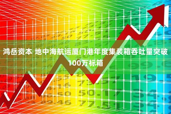 鸿岳资本 地中海航运厦门港年度集装箱吞吐量突破100万标箱